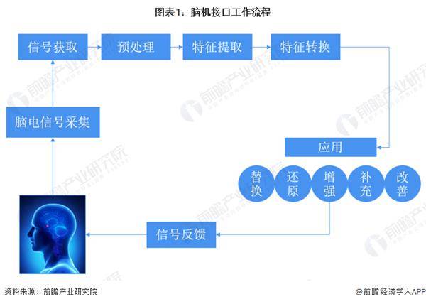 往人体大脑里塞芯片，为什么全球资本都在支持马斯克？ 