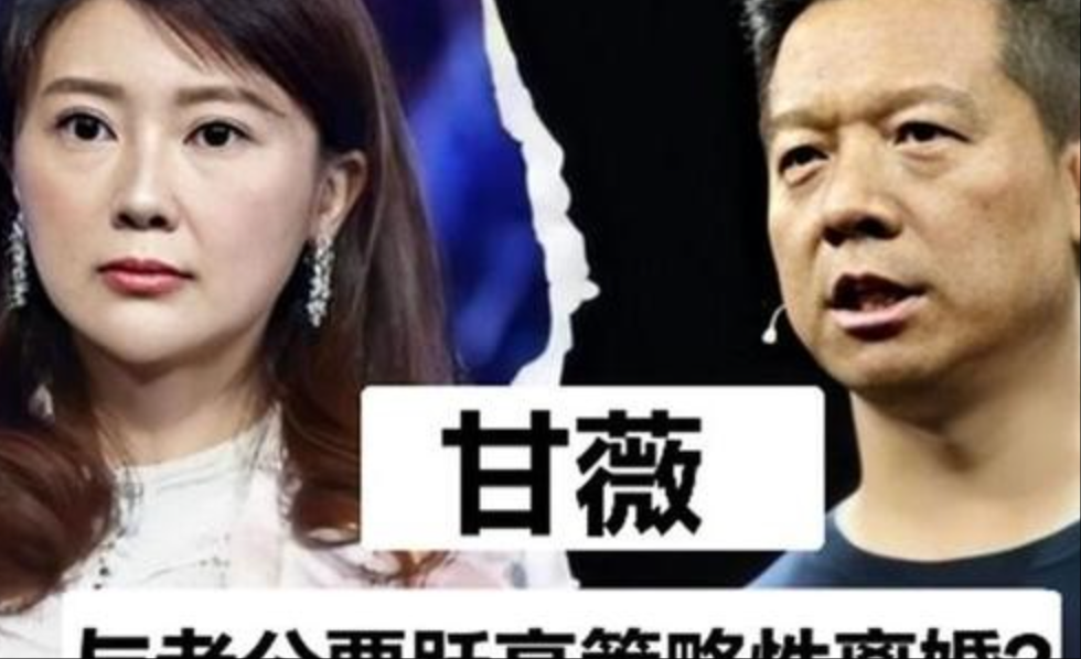 甘薇谈和贾跃亭离婚：没有给 40 亿，资产已冻结，想给也给不出来