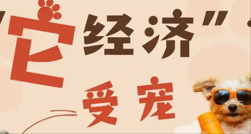 当宠物住进 “智能舱”，百亿“它经济”再升温