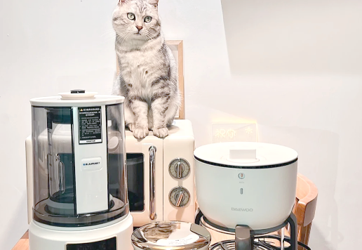 双11叠加国补，小家电行业迎机遇的同时将迎结构调整