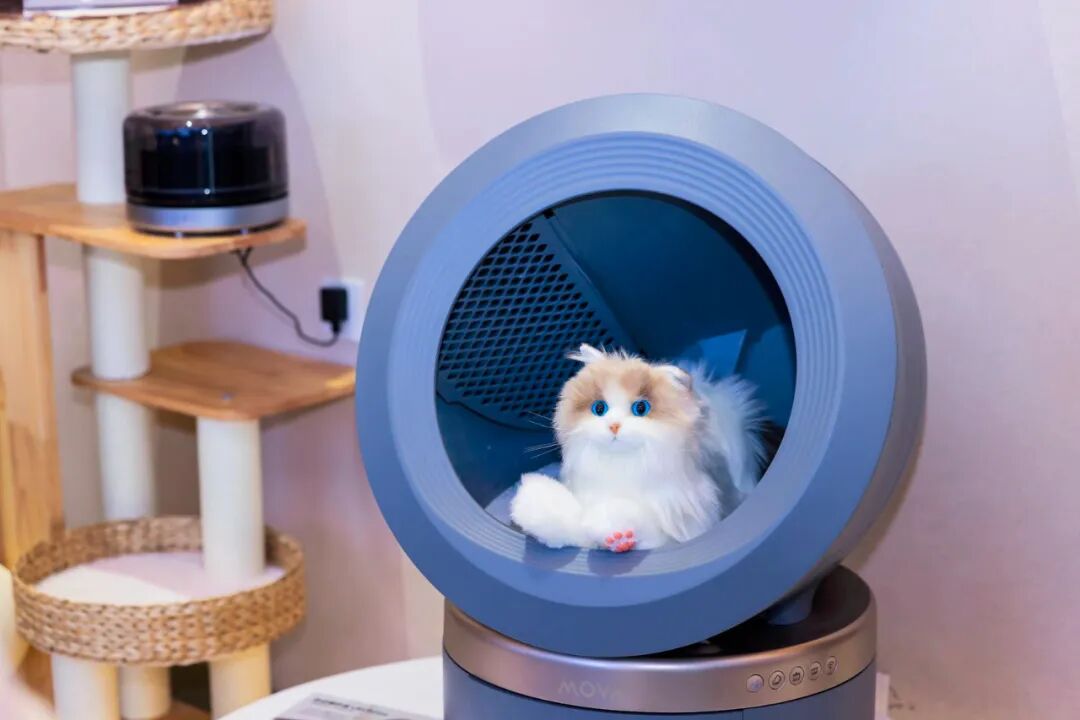 首项国标即将落地，宠物用电器步入规范化发展新阶段