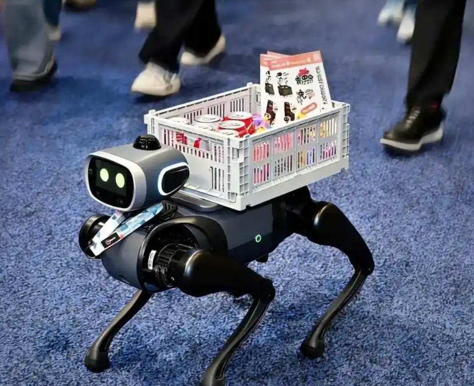 52分钟订单破千，消费级具身智能首个“爆款”诞生