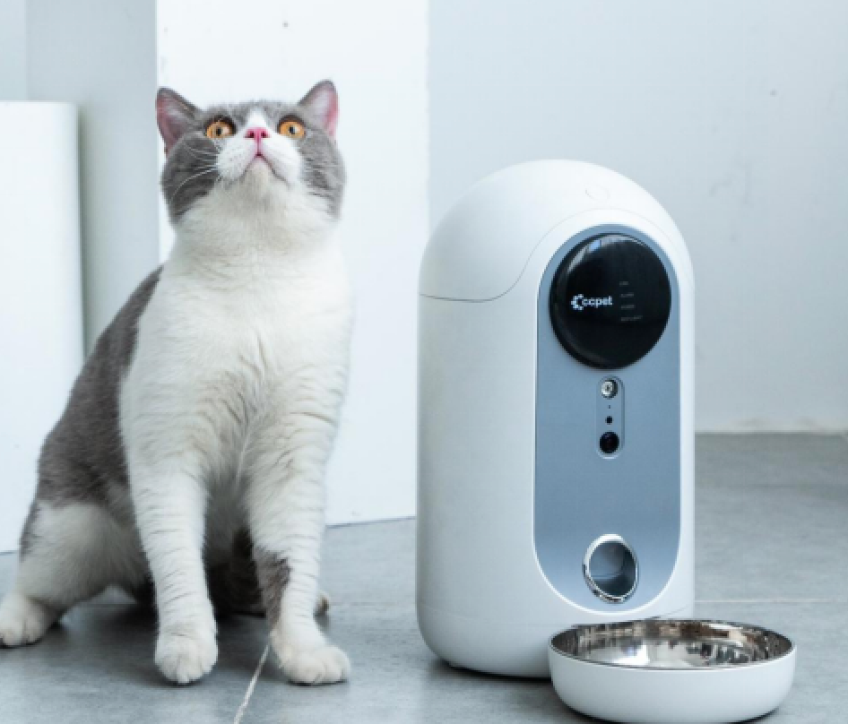 AI养宠潮，千元“智商税”与难以衡量的情绪价值