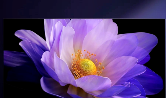 2026，MiniLED电视预计破两千万台：有一品牌占比有望超三成领跑