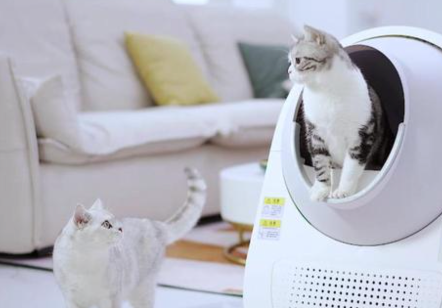 帮国外猫奴铲屎，他赚了几个亿