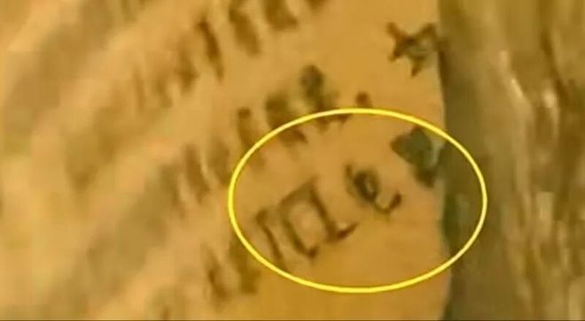 TCL回应在国家一级文物上现广告